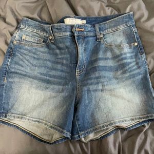 Torrid Shorts